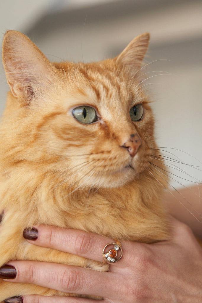 My Mother's Cocktail Ring/My Chiclet Necklace