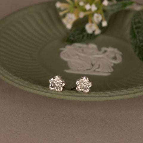 Botanical Collection